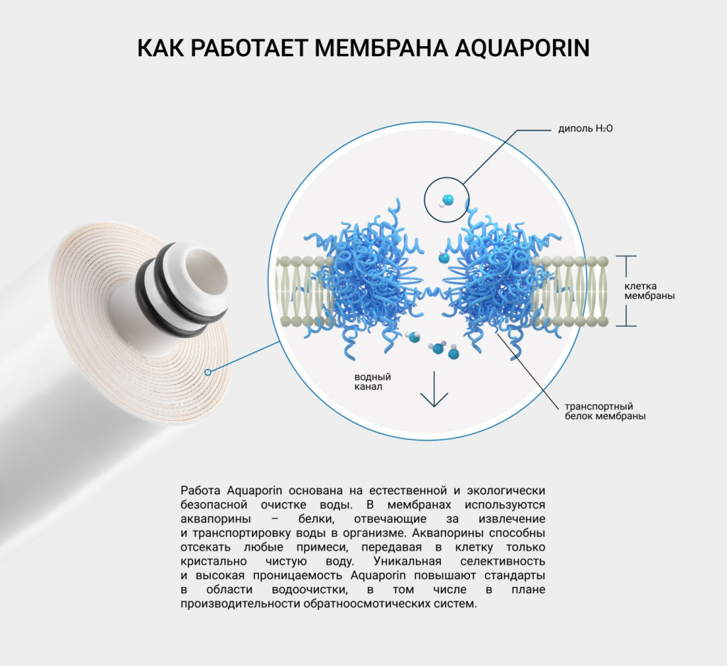 Aquaporin-5.jpg